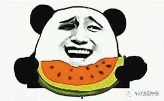 吃瓜群众娱乐大百科下载,揭秘娱乐圈幕后故事与热点事件